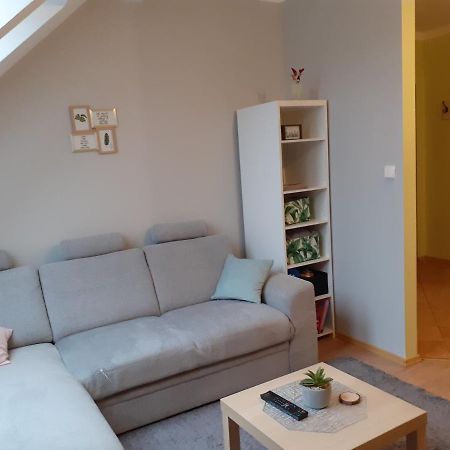 Apartament Kaktus Мронгово Экстерьер фото